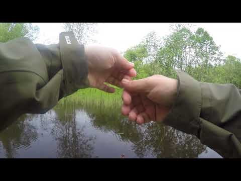 Uskomaton saalis pintaperholla