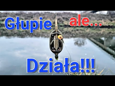 Stupid but it works! Method Feeder on the River! Vistula and cold fishing!