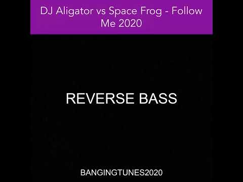 DJ Aligator vs Space Frog - Follow Me 2020