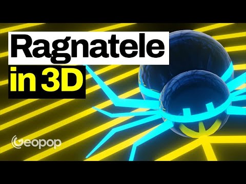 3D Spider Webs: Here's How Spiders Create Their Geometric, Deadly, and Resistant Webs