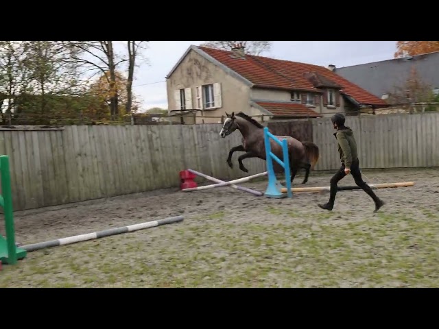 Maestro des Clozelles