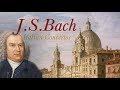 J.S. Bach: Italian Concertos