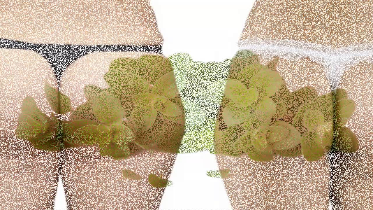 Té Orégano para Adelgazar