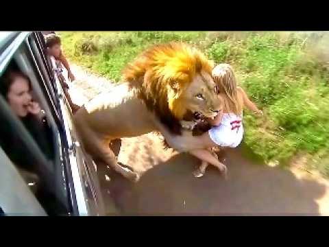 One in a Billion: Wild Animal Moments Caught on Camera