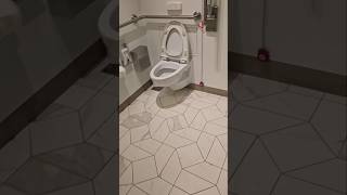 Cruise ship disabled toilet: what those red buttons actually do #cruise #pando #pandocruises