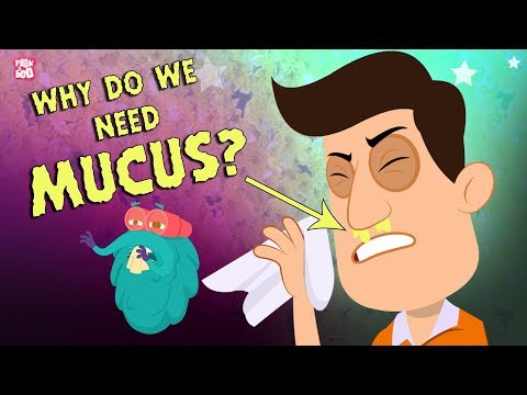 Why Do We Need Mucus? The Dr. Binocs Show | Best Learning Videos For Kids | Peekaboo Kidz