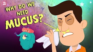 Why Do We Need Mucus? The Dr. Binocs Show | Best Learning Videos For Kids | Peekaboo Kidz