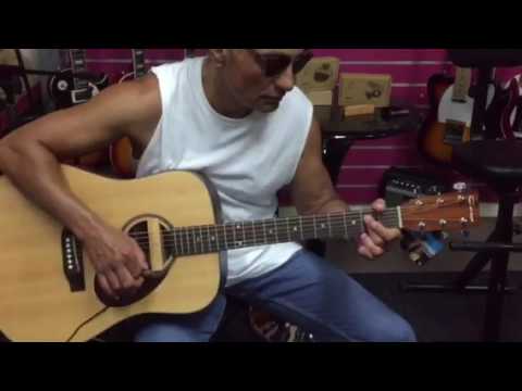 AD-33 soundhole magnetic pick up