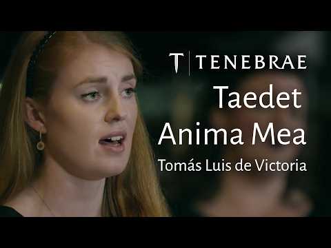 Taedet Anima Mea - Victoria - Tenebrae conducted by Nigel Short