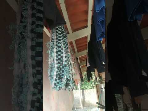 conhecendo o Brasil santa Catarina Guaramirim Isabela