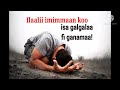 Faarfannaa Qalbii Jijjiranna Faarfannaa Afaan Oromoo Gospelmusic Solomonalemu Mezmur