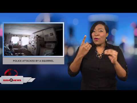 Police attacked by a squirrel (ASL 12.31.17)