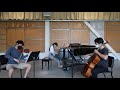 Ravel, Piano Trio in A minor, mvt. I