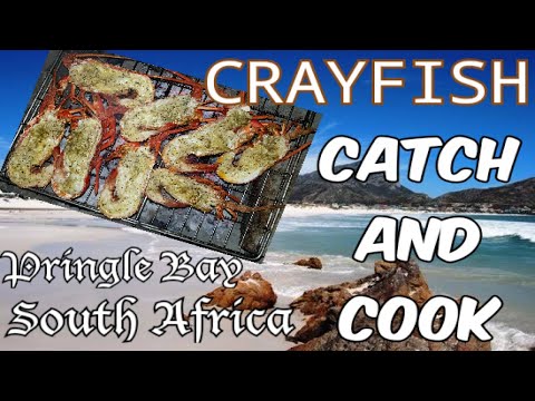 Crayfish Catch And Cook | West Coast Rock Lobster In Pringle Bay South Africa
