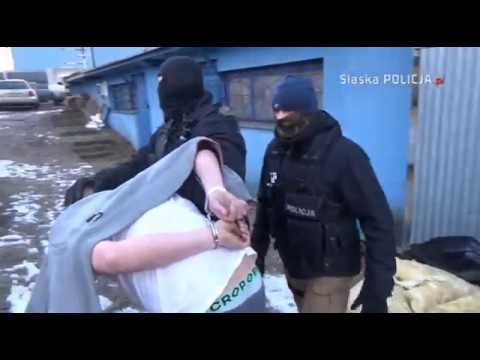 Policja likwiduje plantację MARIHUANY wartą ponad MILION ZŁOTYCH