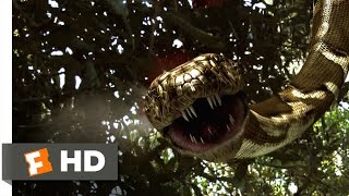 Mega Python vs. Gatoroid (2/10) Movie CLIP - Headless Hunter (2011) HD