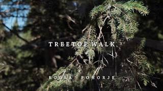 The Tree Top Walk in Rogla, Slovenia