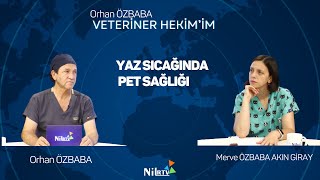 Aşırı Sıcaklar ve  Pet Sağlığı, Veteriner Hekimim, Orhan Özbaba &  Merve Özbaba 
