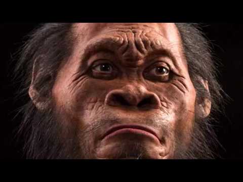 Dr Andy Herries on dating Homo naledi Video