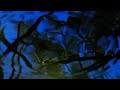 silent collision - Exhale, Inhale (Official Visualizer)