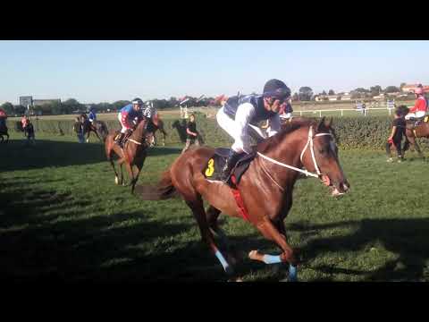 Probni galop ucesnika Kup "LJUBICEVA"