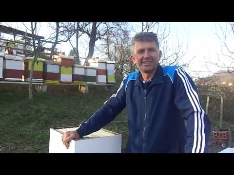 Kako početi sa pčelarstvom, video za pčelare početnike