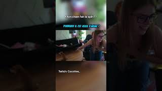 Ça va Buddy?🤔😂 #reels #chien #animal #split #drole #funny #twitch #streamer #qc #montreal