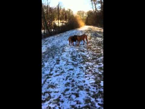 Vores første baby:-)