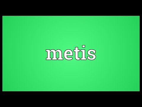 Metis Meaning