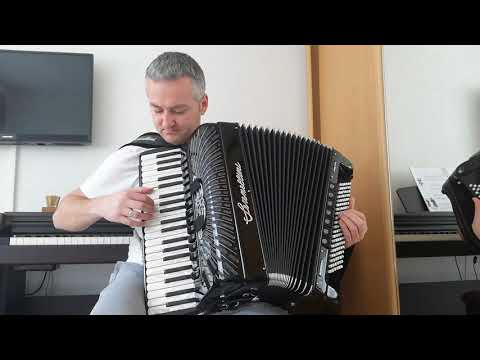 "Eh kad bi ti" forspil harmonika cover Mirza Babanović