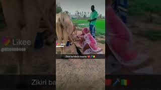 Download lagu zikiri BAHDIALLO KOUMA mp3 Download lagu zikiri BAHDIALLO KOUMA mp3