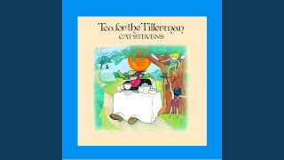 Tea for the Tillerman Music Video