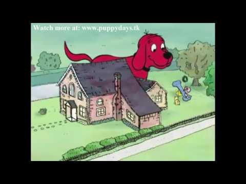 Clifford The Big Red Dog   S01e25