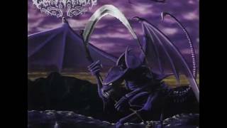 Centinex   Reflections