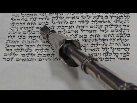 Torah Reading for Parashat Noah Rabbi Moshe Weisblum קריאת התורה לפרשת נח הרב משה ויסבלום