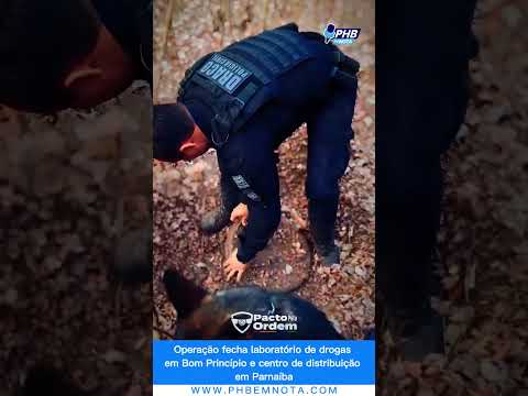 Operação desmonta laboratório clandestino e centro de distribuição no litoral do Piauí