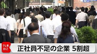 5割超の企業が正社員不足　「金融」がトップ　非正社員の不足は3割下回り改善傾向