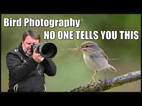 The Truth About Bird Photography No One Shows You