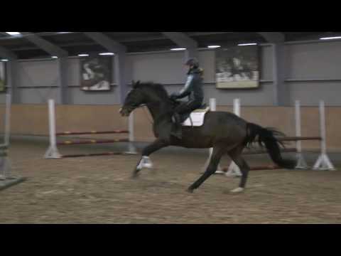 Hejbøls Chamino by Chandler/Cormint