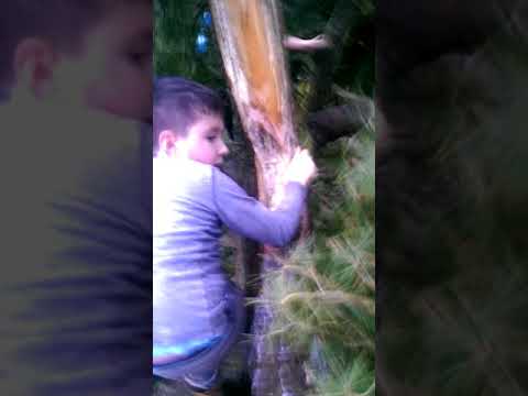 Der lauf durch den park