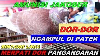 Download lagu AMUNISI JAKOBER NGAMPUL LOS DORRRRRR mp3 Download lagu AMUNISI JAKOBER NGAMPUL LOS DORRRRRR mp3