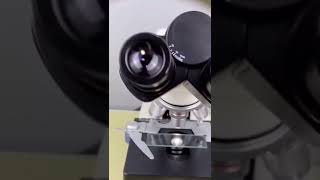 Download lagu Toothbrush Microscope zoom #shorts #growth #viral mp3 Download lagu Toothbrush Microscope zoom #shorts #growth #viral mp3