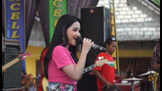 Download lagu BERLAYAR BERTEPIAN LALA WIDY OM MARCELLINA LIVE MANDOR EDY PRAMBON TURI LAMONGAN mp3 Download lagu BERLAYAR BERTEPIAN LALA WIDY OM MARCELLINA LIVE MANDOR EDY PRAMBON TURI LAMONGAN mp3
