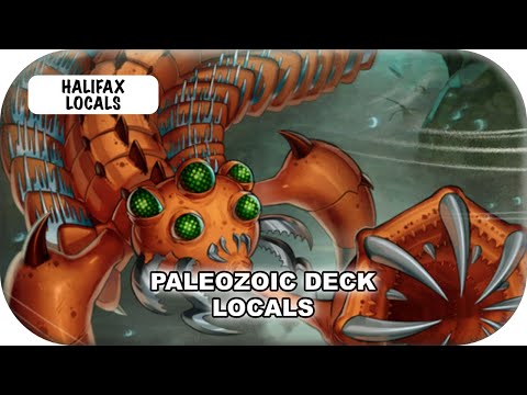 Paleozoic Deck Profile | Yu-Gi-Oh! 2025 Meta
