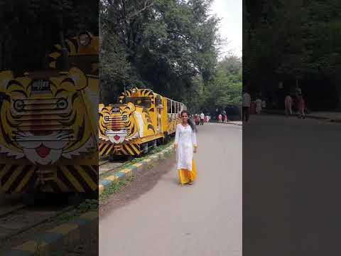 Nehru Zoological Park  #Hyderabad #satwika #pleasesubscribe #tharunlocalchannel