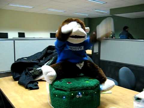 dance testing of Hurley the monkey