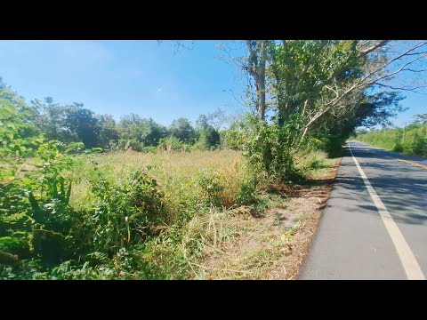 1 Rai Land For Sale Near Kut Chap, Udon Thani, Thailand, Udon Thani, Khon Yung, Kut Chap, Udon Thani, , 1,600 sqm, Land For Sale, by วีรภัทรา ดาร์เปอร์, 500474473 - DDproperty.com