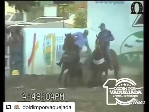 Neco Menezes e o cavalo sucesso