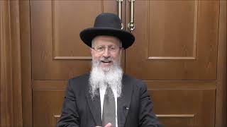 הגאון הרב אברהם יוסף שליט"א האם קליפות הראויות למאכל בהמה הן מוקצה ואסור לטלטלן ביום טוב (הערוץ של הרב אברהם יוסף) - התמונה מוצגת ישירות מתוך אתר האינטרנט יוטיוב. זכויות היוצרים בתמונה שייכות ליוצרה. קישור קרדיט למקור התוכן נמצא בתוך דף הסרטון