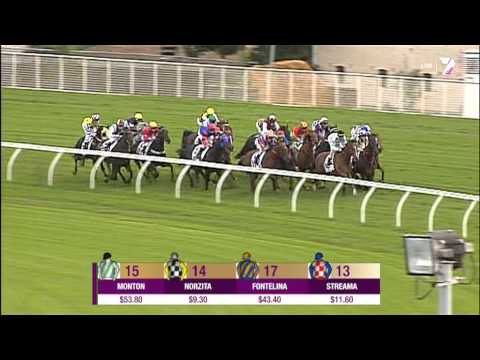 The 2013 Doncaster Handicap: Sacred Falls